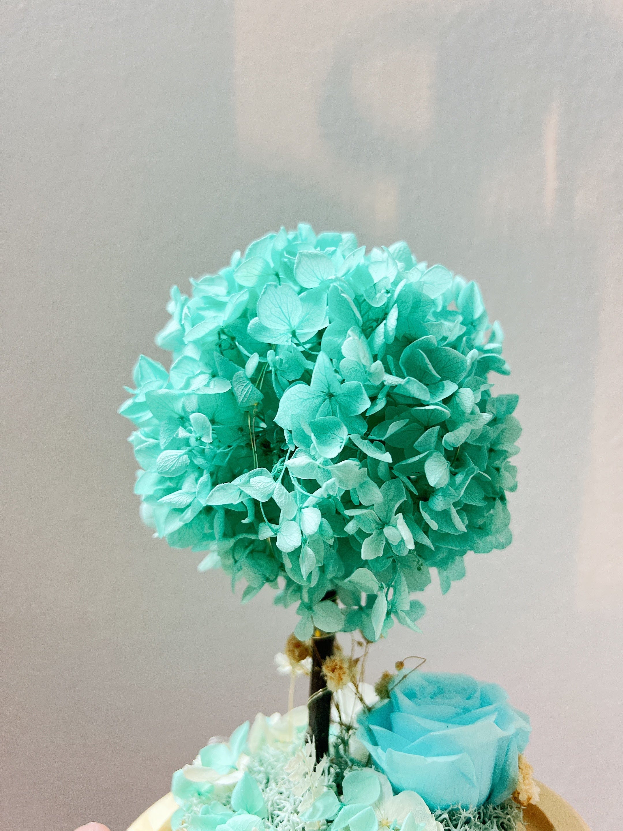 Hydarium Dome - Flower - Tiffany Blue あじさい - Preserved Flowers & Fresh Flower Florist Gift Store