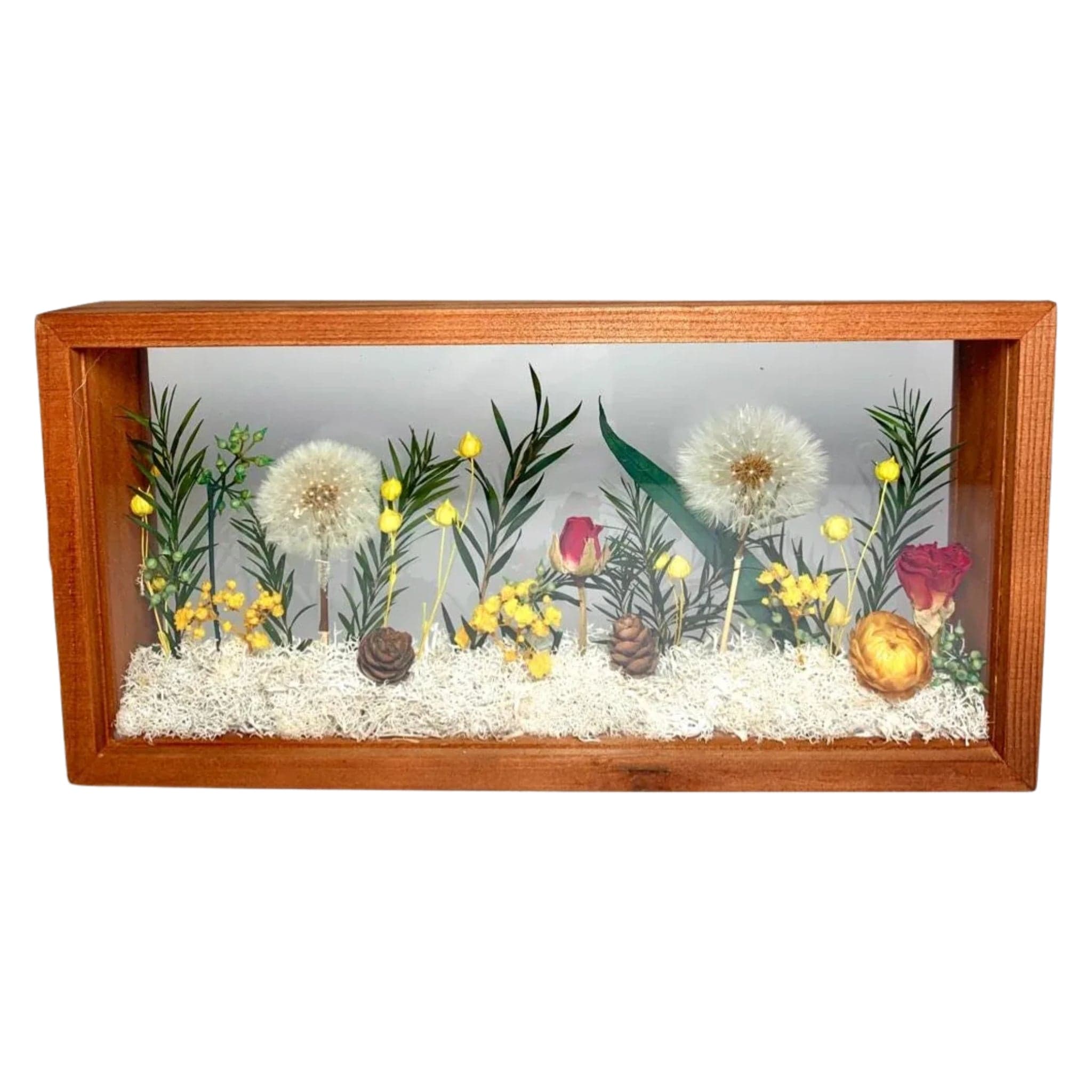 Iwa Preserved Flower Frame - Flower - Dandelion - Preserved Flowers & Fresh Flower Florist Gift Store