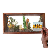 Iwana Preserved Flower Frame - Flowers - Preserved Flowers & Fresh Flower Florist Gift Store