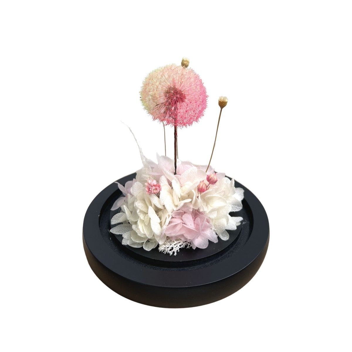 Kaze - Preserved Dandelion Dome - Flower - Pink - Preserved Flowers & Fresh Flower Florist Gift Store