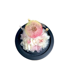 Kaze - Preserved Dandelion Dome - Flower - Pink - Preserved Flowers & Fresh Flower Florist Gift Store
