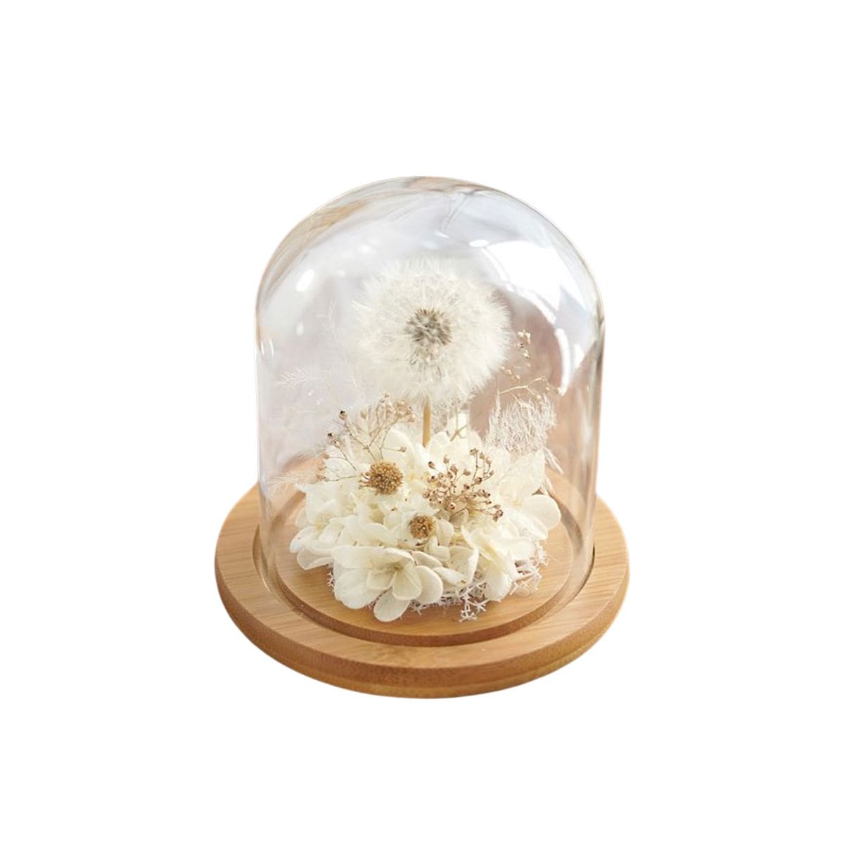 Kaze - Preserved Dandelion Dome - Flower - White - Preserved Flowers & Fresh Flower Florist Gift Store