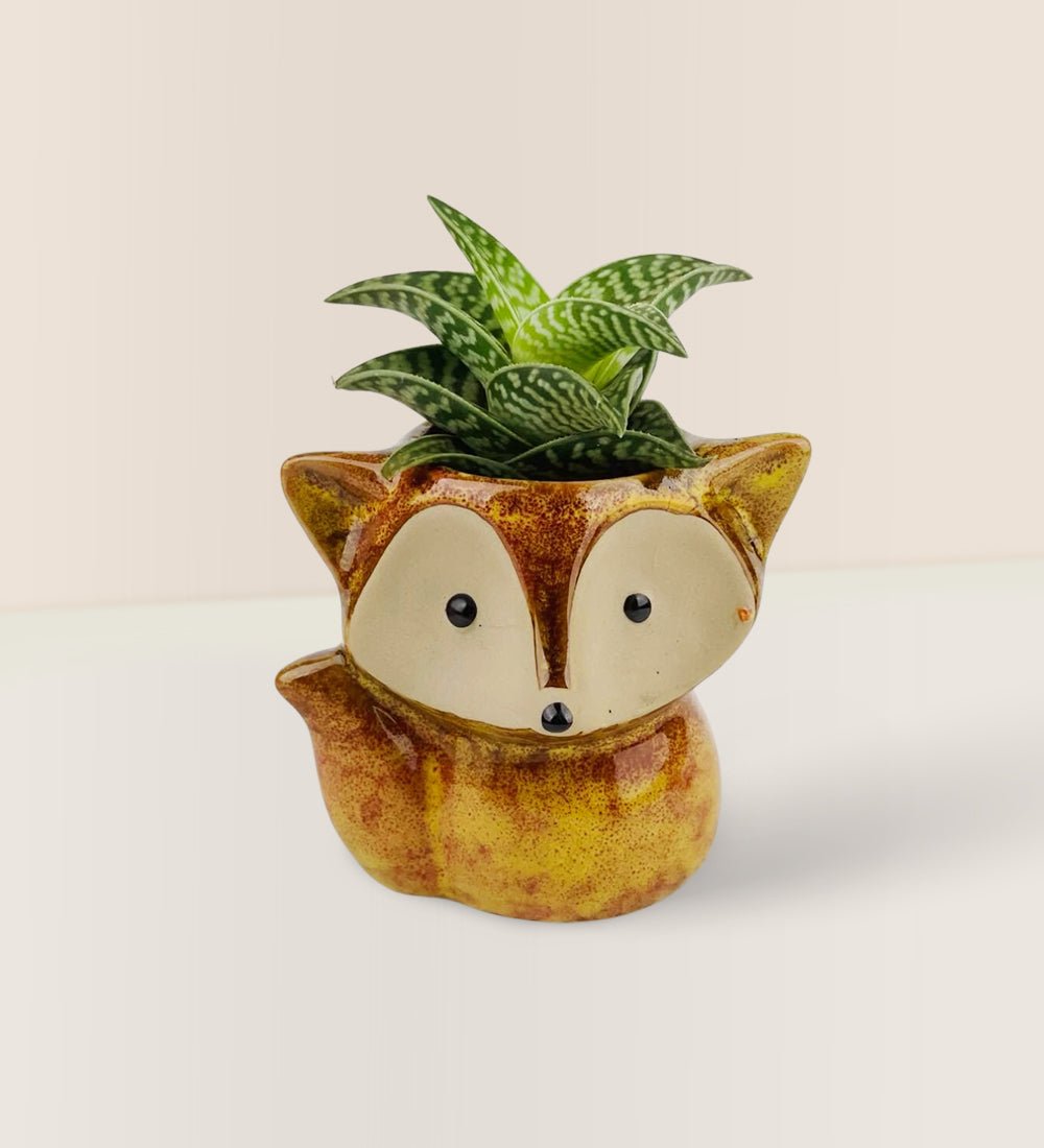 Mini Assorted Succulents in Fox Planter - brown - Gifting Plant - Tumbleweed Plants - Online Plant Delivery Singapore