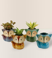 Mini Assorted Succulents in Fox Planter - brown - Gifting Plant - Tumbleweed Plants - Online Plant Delivery Singapore