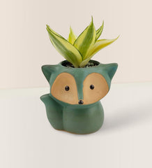 Mini Assorted Succulents in Fox Planter - green - Gifting Plant - Tumbleweed Plants - Online Plant Delivery Singapore