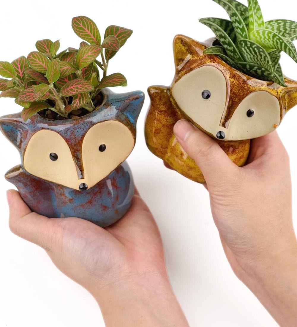Mini Assorted Succulents in Fox Planter - green - Gifting Plant - Tumbleweed Plants - Online Plant Delivery Singapore
