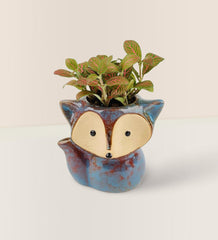 Mini Assorted Succulents in Fox Planter - purple - Gifting Plant - Tumbleweed Plants - Online Plant Delivery Singapore