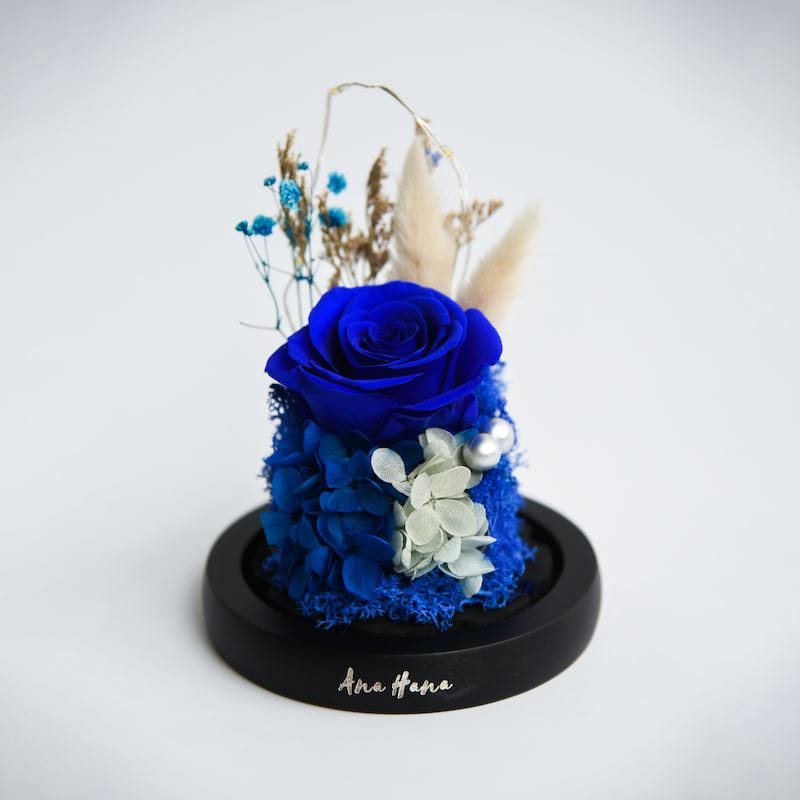 My Only Love - Hana Flower Dome - Flower - Baby Blue - Preserved Flowers & Fresh Flower Florist Gift Store