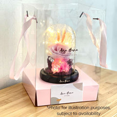 My Only Love - Hana Flower Dome - Flower - Bloom Purple - Preserved Flowers & Fresh Flower Florist Gift Store