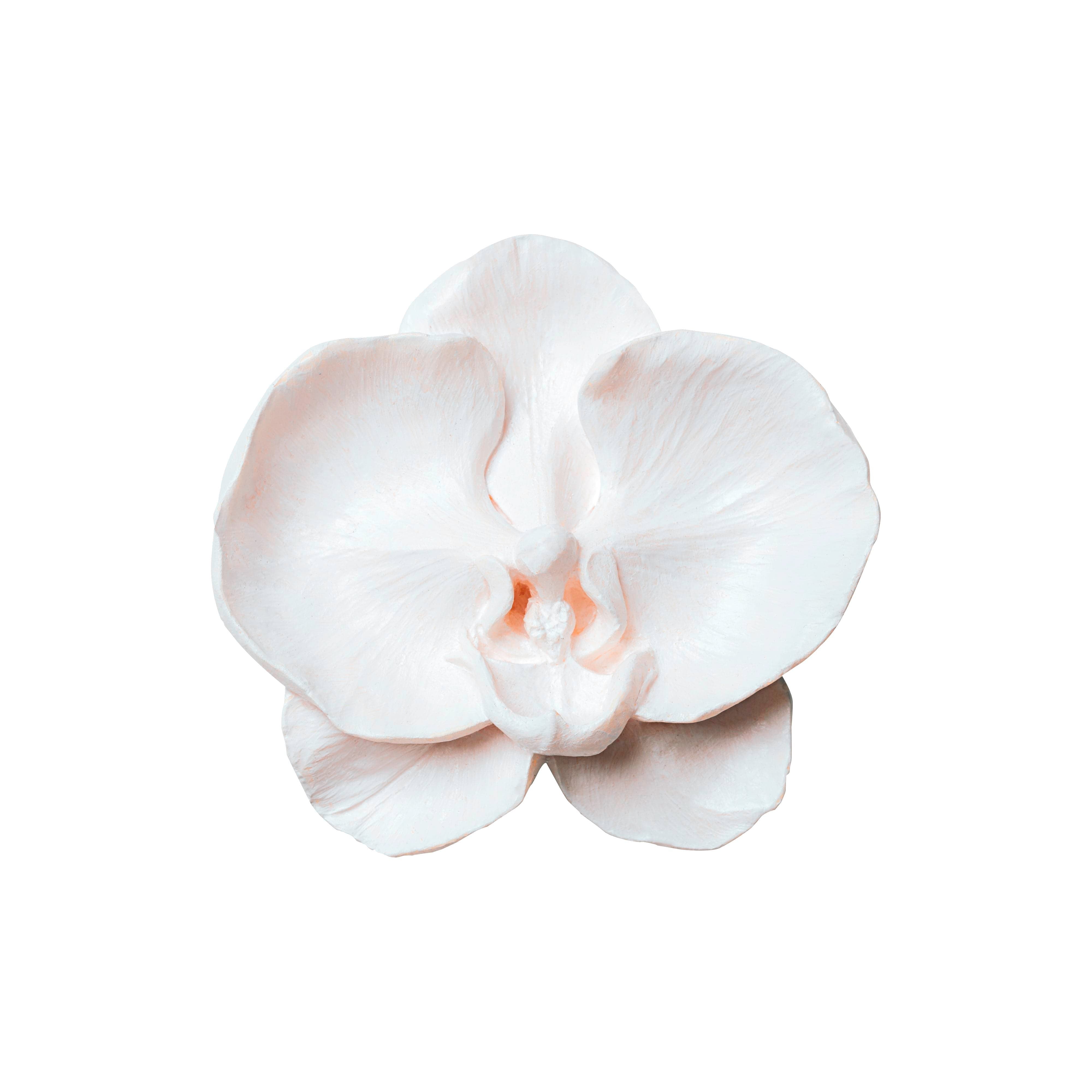 Heritage Bloom Pandan Rock Sugar Bird's Nest (Orchid) (Only available as an add-on) - Bird Nest - Preserved Flowers & Fresh Flower Florist Gift Store