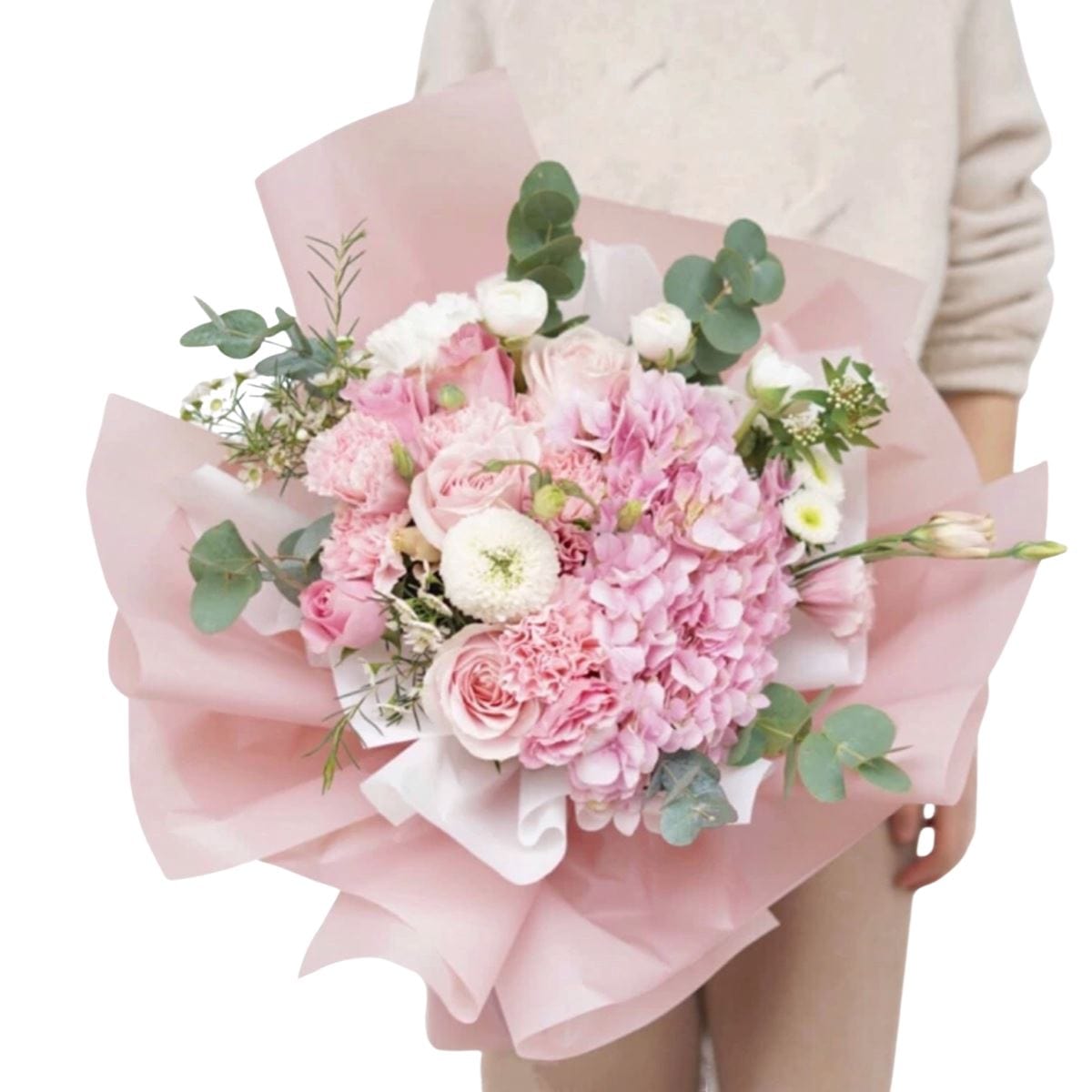 Hydrangea - Pink Elegance - Flower - Preserved Flowers & Fresh Flower Florist Gift Store