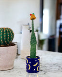 Roadkill Cactus - banana pot blue - Potted plant - Tumbleweed Plants - Online Plant Delivery Singapore