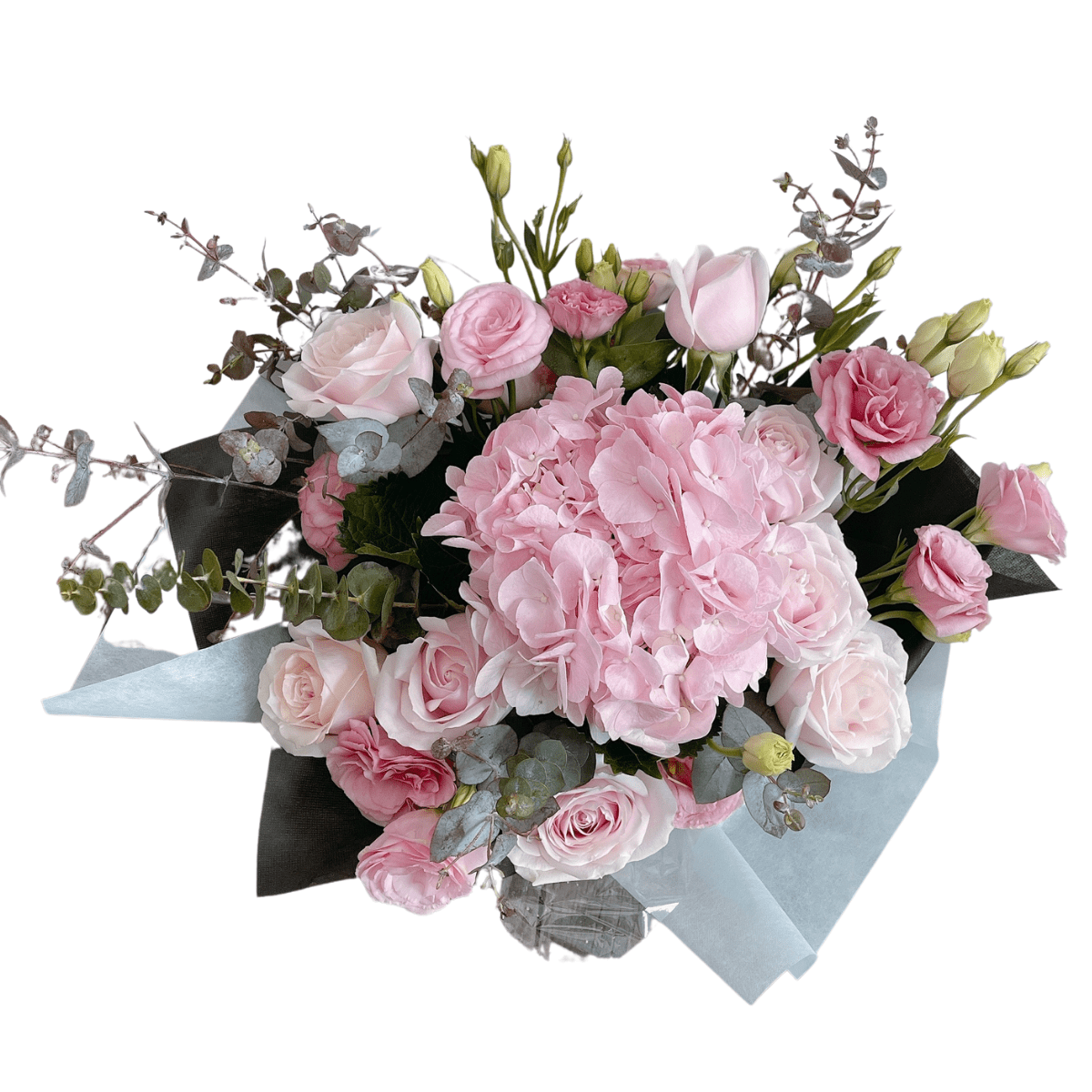 Hydrangea - Romeo in Basket - Flower - Standard - Preserved Flowers & Fresh Flower Florist Gift Store