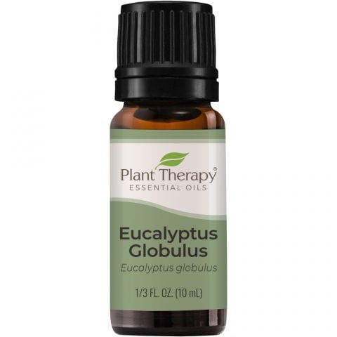 100% Pure Eucalyptus Globulus Essential Oil (Only available as an add-on) - Scent - Preserved Flowers & Fresh Flower Florist Gift Store