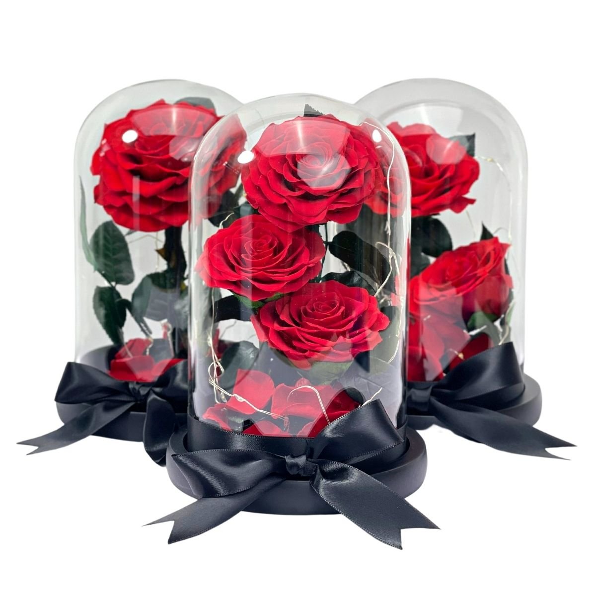 3 Rose - Red Single Preserved Rose - Preserved Flower Dome - Flower - Preserved Flowers & Fresh Flower Florist Gift Store