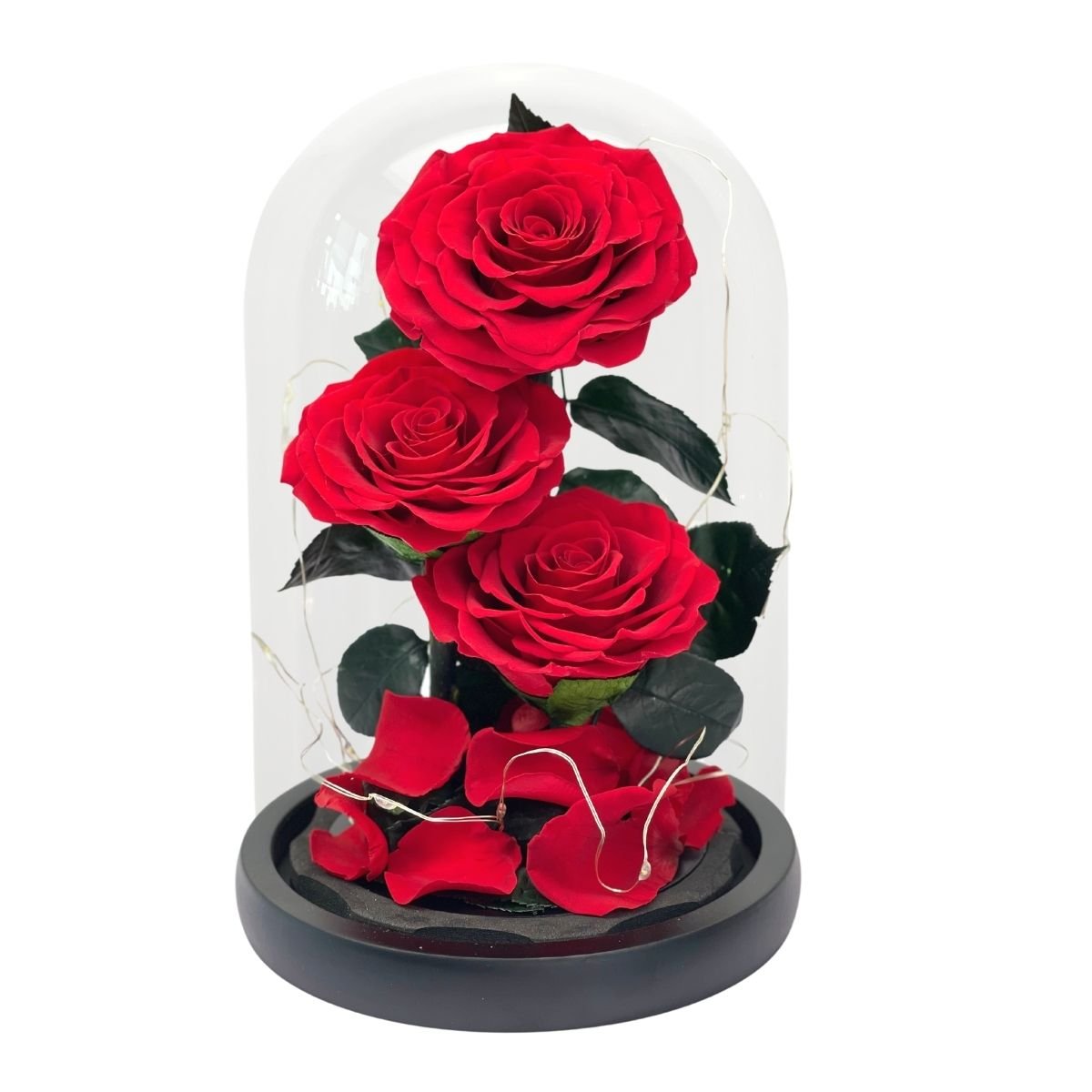 3 Rose - Red Single Preserved Rose - Preserved Flower Dome - Flower - Preserved Flowers & Fresh Flower Florist Gift Store
