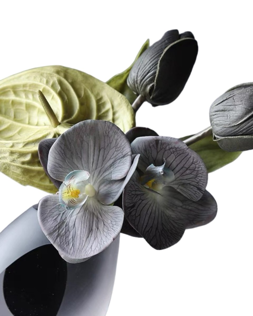 Aurorose - Flower - Preserved Flowers & Fresh Flower Florist Gift Store