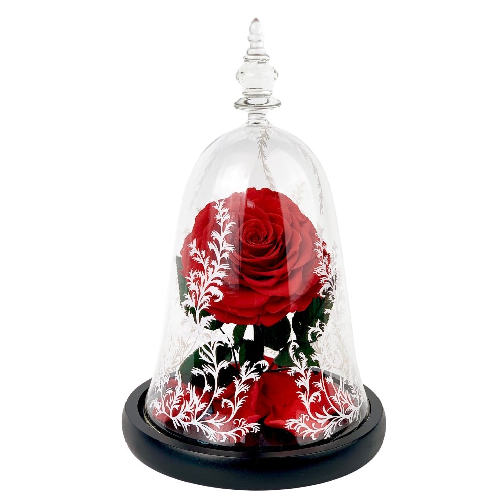 Beauty and the Beast Enchanted Rose Glass Dome - Flower - Preserved Flowers & Fresh Flower Florist Gift Store
