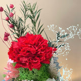 Carnation Bell Dome - Red Garnet (with gift box) - Flower - Preserved Flowers & Fresh Flower Florist Gift Store