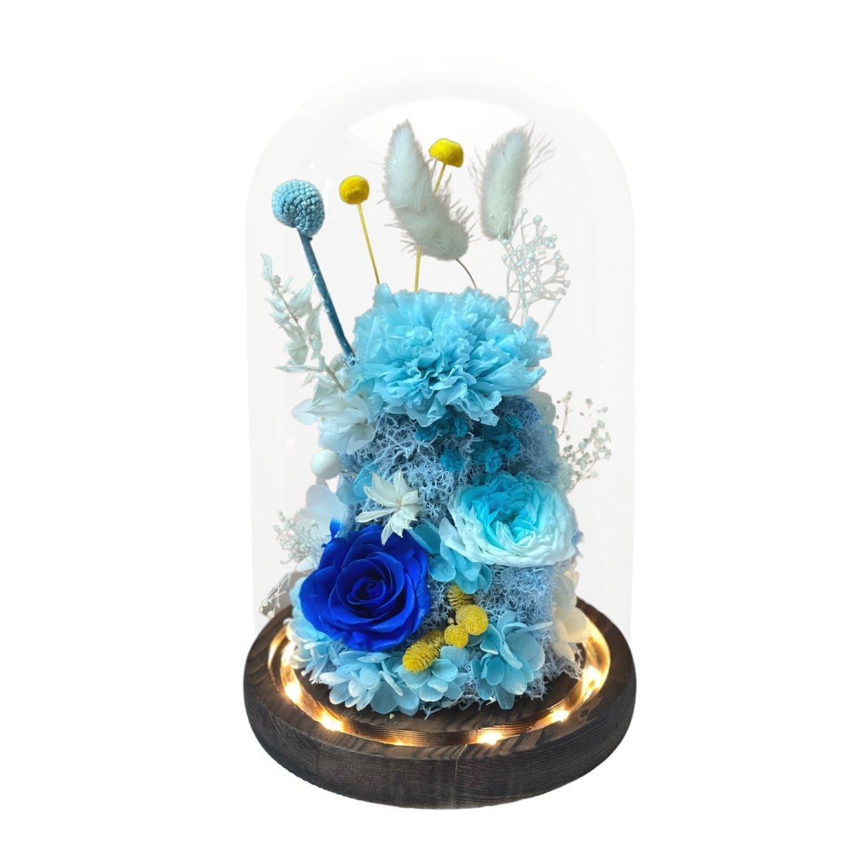 Carnation Bell Dome - Sapphire Blue (with gift box) - Flower - Preserved Flowers & Fresh Flower Florist Gift Store