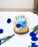 Carnation Blowball - Blue (with gift box) - Flower - Preserved Flowers & Fresh Flower Florist Gift Store
