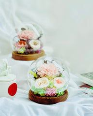 Carnation Blowball - Garden Pink (with gift box) - Flower - Preserved Flowers & Fresh Flower Florist Gift Store