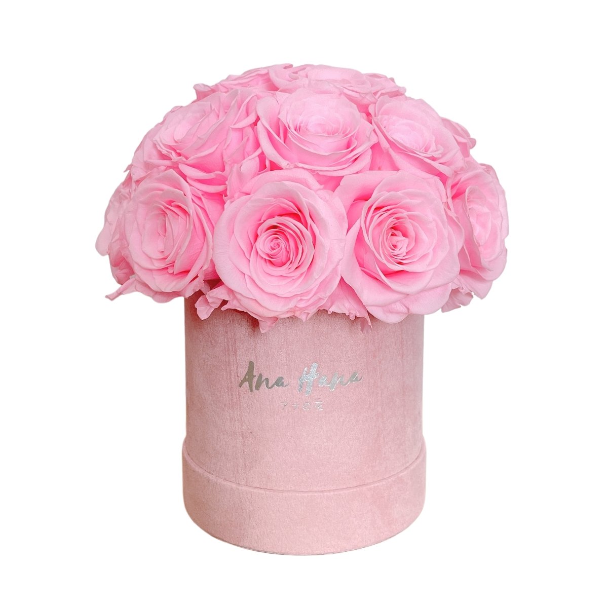 Classic Bucket Full - Pink Rose - Flower - 25 Roses - Preserved Flowers & Fresh Flower Florist Gift Store