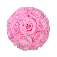 Classic Bucket Full - Pink/Black - Flower - 25 Roses - Preserved Flowers & Fresh Flower Florist Gift Store