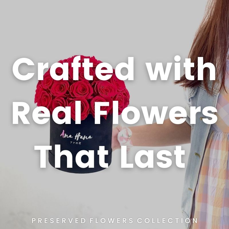 Dainty Clover - Preserved Flower Bouquet - Flower - Preserved Flowers & Fresh Flower Florist Gift Store