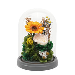 Daisy Dome - Gerbera Orange - Flower - Preserved Flowers & Fresh Flower Florist Gift Store