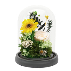 Daisy Dome - Gerbera Yellow - Flower - Preserved Flowers & Fresh Flower Florist Gift Store