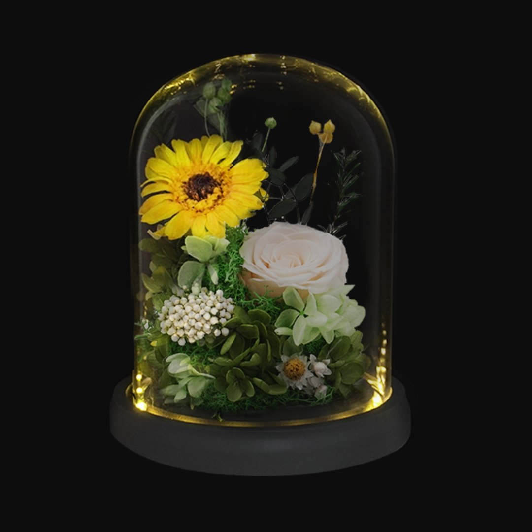 Daisy Dome - Gerbera Yellow - Flower - Preserved Flowers & Fresh Flower Florist Gift Store
