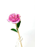 Eternal Preserved Rose Bloom - Real Rose Preserved - Eternal Love Series - Flower - Pink - Preserved Flowers & Fresh Flower Florist Gift Store