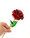 Eternal Preserved Rose Bloom - Real Rose Preserved - Eternal Love Series - Flower - Red - Preserved Flowers & Fresh Flower Florist Gift Store