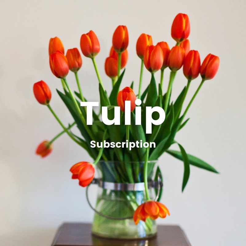 Fresh Flower Arrangement [Tulips] - Flower - Original - Preserved Flowers & Fresh Flower Florist Gift Store