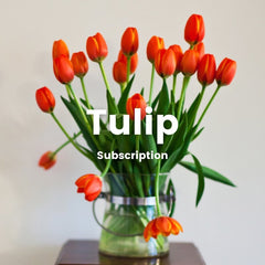 Fresh Flower Arrangement [Tulips] - Flower - Original - Preserved Flowers & Fresh Flower Florist Gift Store