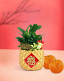 Good Wealth Zamio in Golden Pineapple Pot - Potted plant - Preserved Flowers & Fresh Flower Florist Gift Store