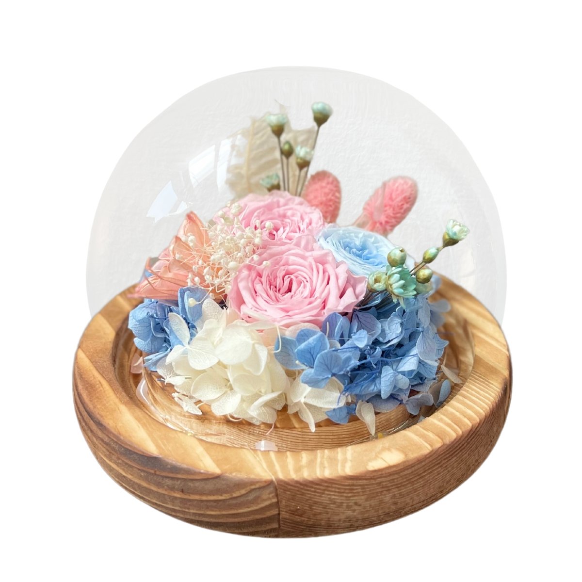 Haruhi - Cotton Candy (with gift box) - Flower - Preserved Flowers & Fresh Flower Florist Gift Store