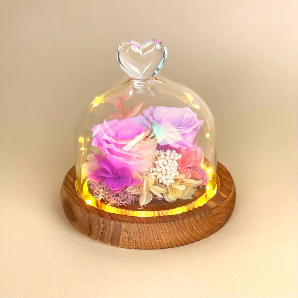 Haruhi - Rainbow - Flower - Preserved Flowers & Fresh Flower Florist Gift Store