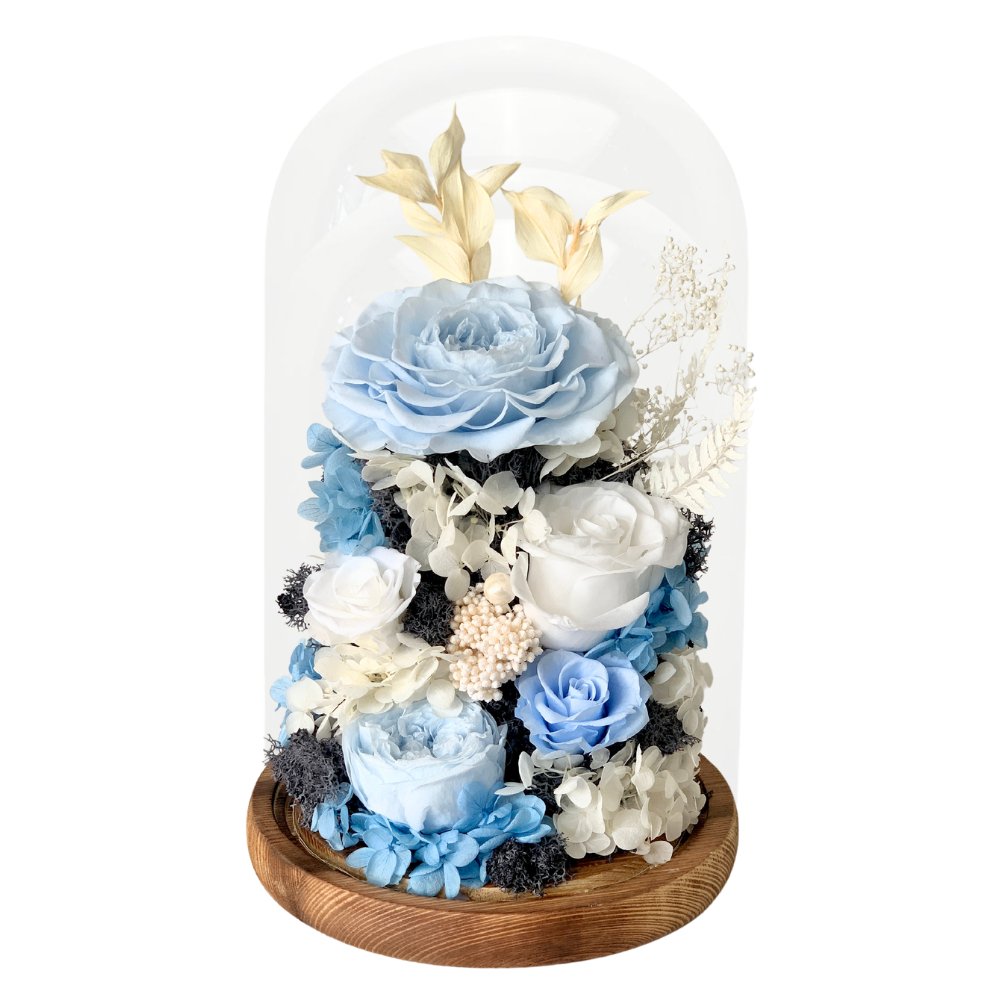 Hazel Roses (large dome with gift box) - Flower - Aqua Blue - Preserved Flowers & Fresh Flower Florist Gift Store
