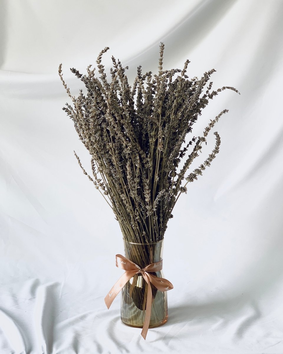 Lavandula - Flower - Single - Preserved Flowers & Fresh Flower Florist Gift Store