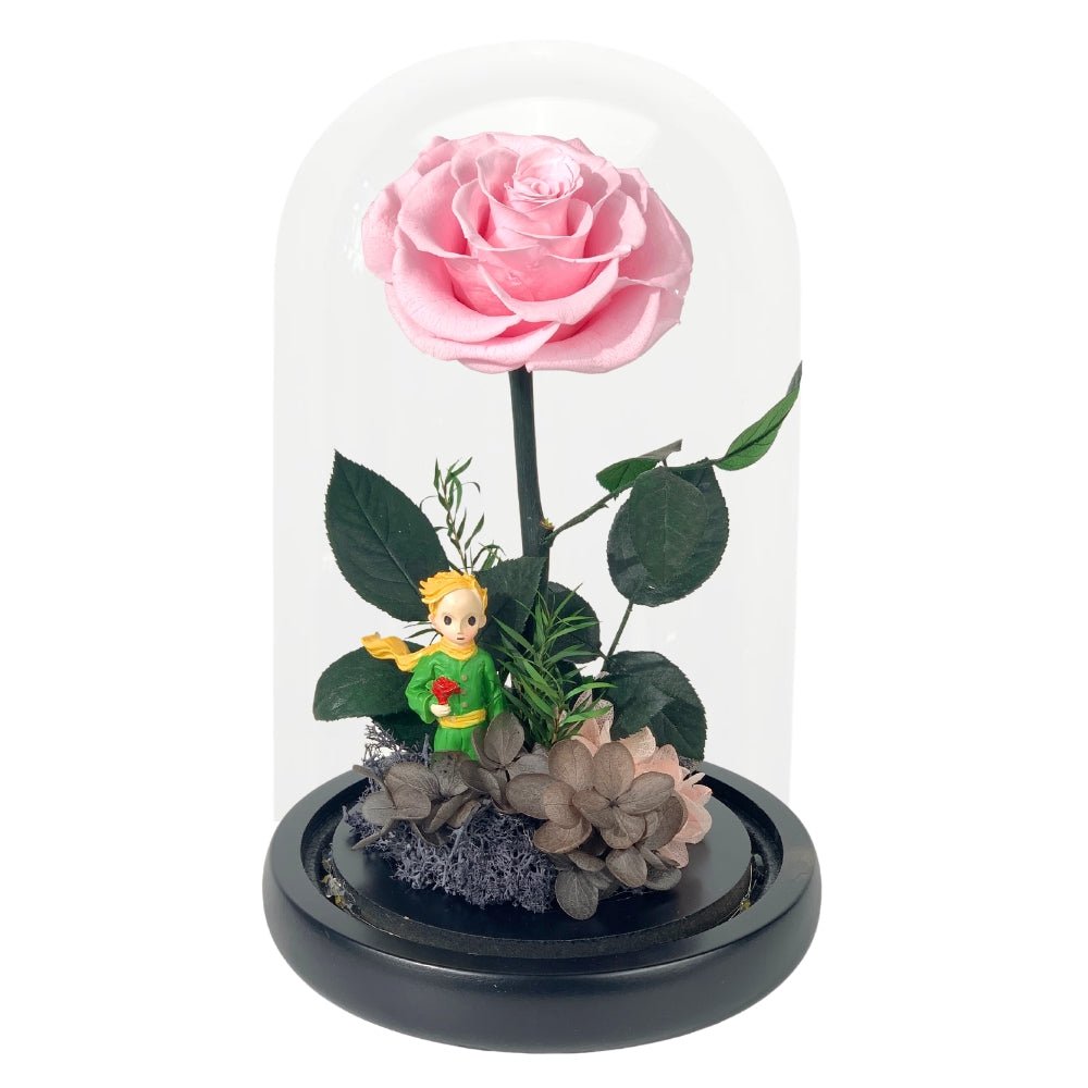 Little Prince, Pink Rose - Flower - Preserved Flowers & Fresh Flower Florist Gift Store