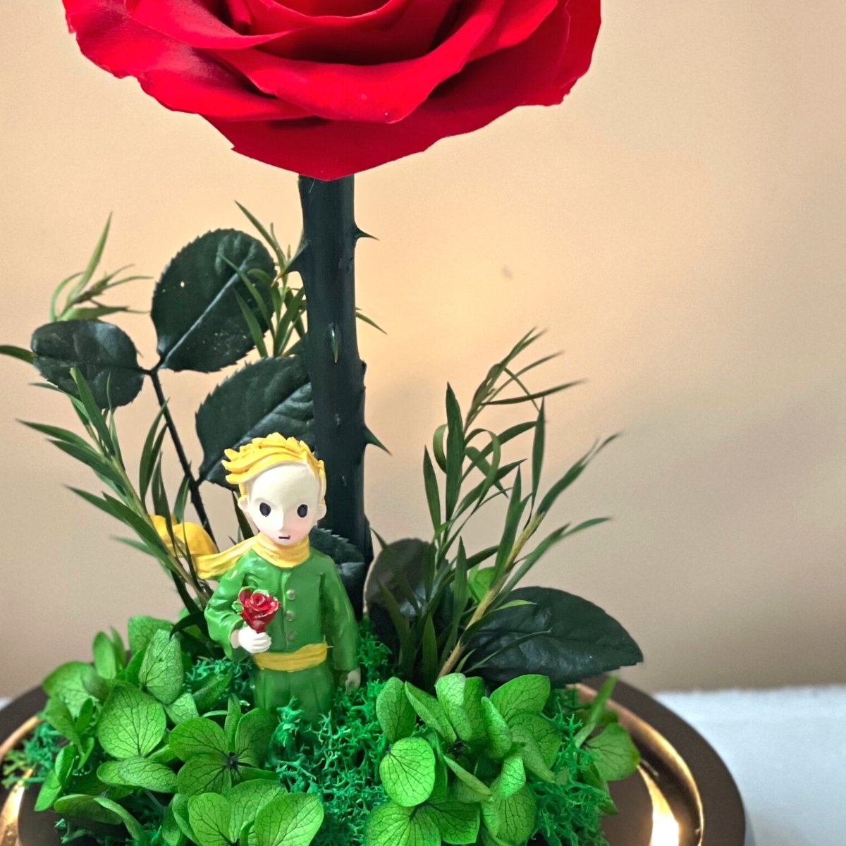 Buy Little Prince, Red Rose  Flower - Online Flower & Gift
