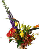 Lush Paradise - Flower - Preserved Flowers & Fresh Flower Florist Gift Store