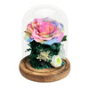 Murasaki Rainbow Flower Dome