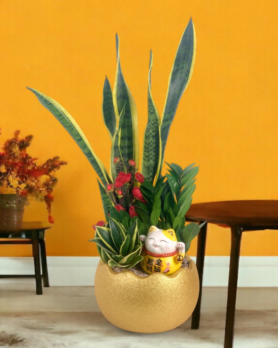 Prosperity Plant Arrangement in Golden Egg Pot (Large) - Gifting plant - Preserved Flowers & Fresh Flower Florist Gift Store