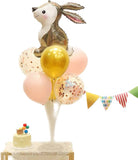 Rabbit Theme Balloon - Add Ons - Preserved Flowers & Fresh Flower Florist Gift Store