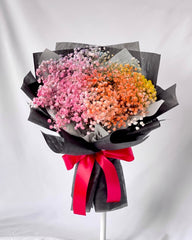 Rainbow Baby's Breath - Flower - Original - Preserved Flowers & Fresh Flower Florist Gift Store