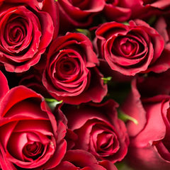 Red Roses - Flower - Vase - Preserved Flowers & Fresh Flower Florist Gift Store