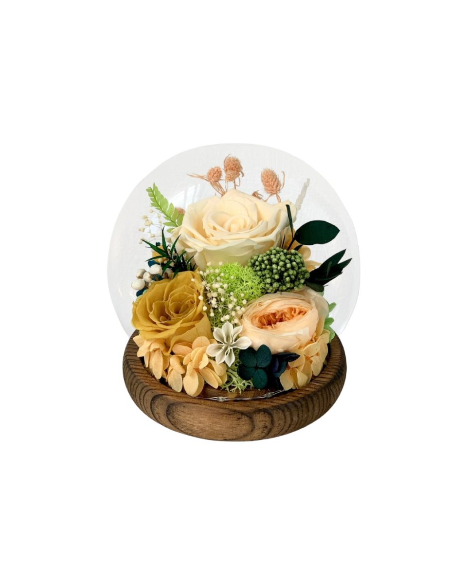 Rose Blowball - Champagne (with gift box) - Flower - Preserved Flowers & Fresh Flower Florist Gift Store